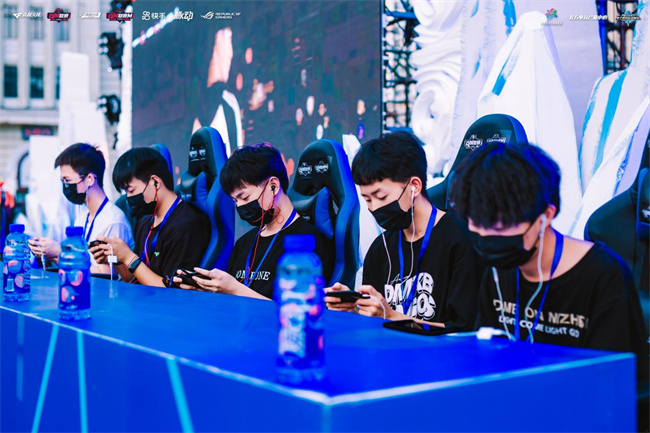 足球以及象 足球以及象