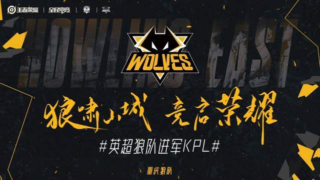 分析团队